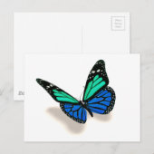 3次元蝶 ポストカード (正面/裏面)
