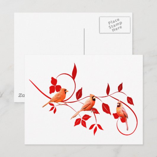 3深紅色 ポストカード (正面/裏面)