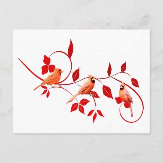 3深紅色 ポストカード (正面)