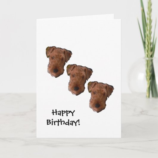 3犬の夜の誕生日カード カード (正面)