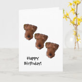 3犬の夜の誕生日カード カード (黄色い花)