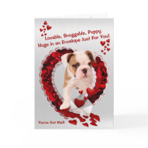 3番目のブルドッグ新しい子犬 – メー得ルだ！