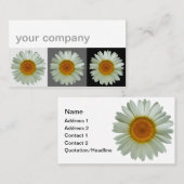 3白いデイジーのモダンの花柄 名刺 (正面/裏面)