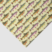 3美しいマス – ブルック、レインボー、ブラウン 薄葉紙 (詳細)