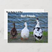3羽のアヒルが一列に ポストカード (正面/裏面)