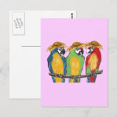 3羽のインコ ポストカード (正面/裏面)