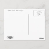 3羽のウズラとシャスタ ポストカード (裏面)