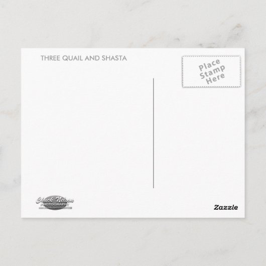 3羽のウズラとシャスタ ポストカード (裏面)