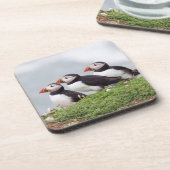 3羽のツノメドリ コースター (左側)