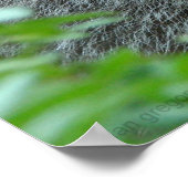 3羽のラクーン ポスター (角)