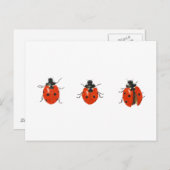 3羽のレディバード2013 ポストカード (正面/裏面)