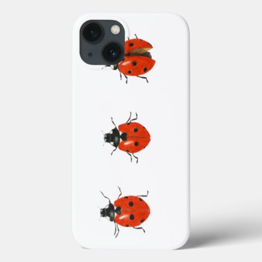 3羽のレディバード2013 Case-Mate iPhoneケース (裏面)