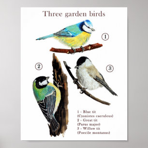 3羽の庭の鳥 ポスター