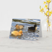 3羽の着色された子ガモ カード (黄色い花)