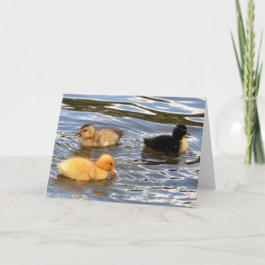 3羽の着色された子ガモ カード (正面)