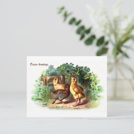 3羽の雛とスパイダーヴィンテージ復活祭 シーズンポストカード (スタンド正面)