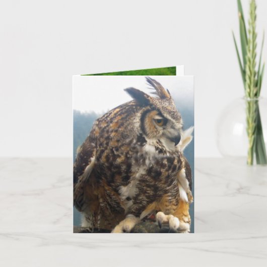 3羽の鳥のすべての行事のメッセージカード カード (正面)