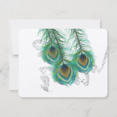 3羽クジャク鳥の暗結婚い反応 出欠カード (正面)