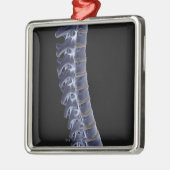 3脊柱 メタルオーナメント (左)