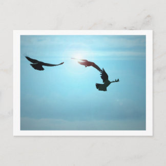 3色のはがき ポストカード