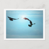 3色のはがき ポストカード (正面)