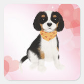 3色のキャバリヤーキングチャールズスパニエル犬パピー スクエアシール (正面)