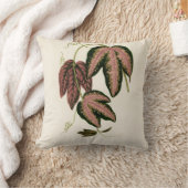 3色のパッションつる植物(Passiflora Trifasciata) クッション (ブランケット)