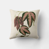 3色のパッションつる植物(Passiflora Trifasciata) クッション (裏面)