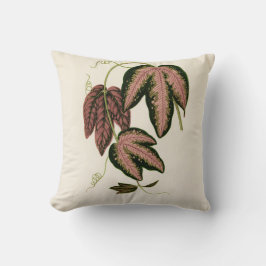 3色のパッションつる植物(Passiflora Trifasciata) クッション