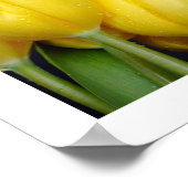 3色チューリップポスター ポスター (角)