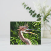 3色ヘロンと悪い髪の日はがき ポストカード (スタンド正面)