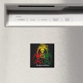 3色マグネット マグネット (インサイチュ (食洗機))