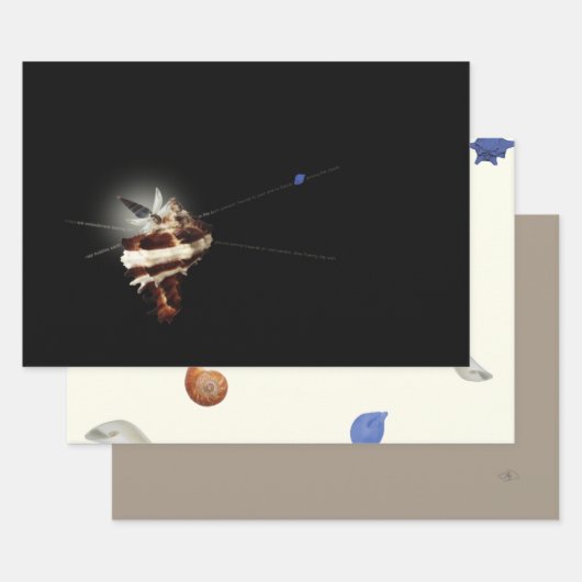 3蝶ユニーク貝殻ビーチクリスマス ラッピングペーパーシート (セット)