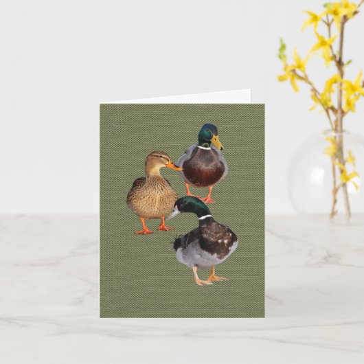 3野生おもしろいのアヒル折りグリーティングカード カード (黄色い花)