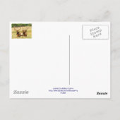 3雄牛(エルク) ポストカード (裏面)