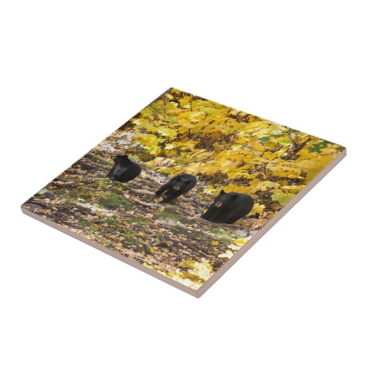 3頭のくま タイル (側面)