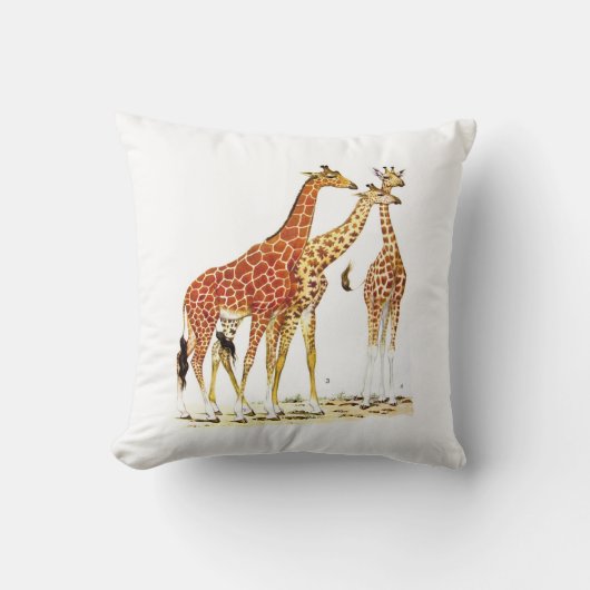 3頭のキリンのイラストレーション クッション (正面)