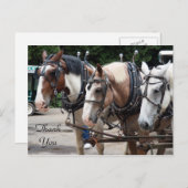 3頭のドラフト馬に感謝 ポストカード (正面/裏面)