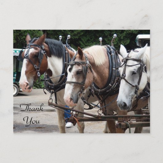 3頭のドラフト馬に感謝 ポストカード (正面)