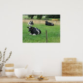 3頭の牛の写真ポスター ポスター (キッチン)