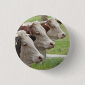 3頭の牛を並べてボタン 缶バッジ (正面)