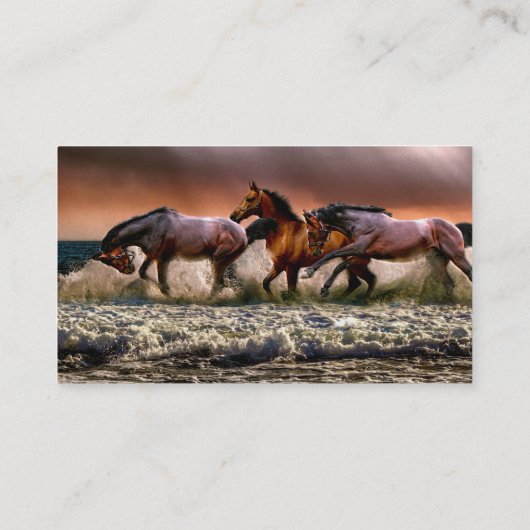 3頭の馬が海 名刺 (裏面)