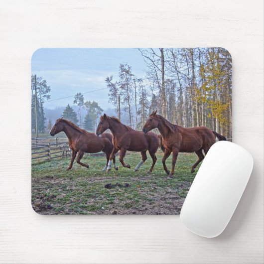 3頭の馬が1つの馬の恋人の写真の贈り物として移動 マウスパッド (マウス)