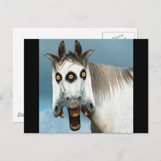 3頭の馬 ポストカード (正面/裏面)