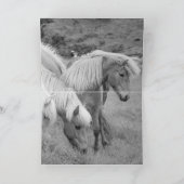 3馬走の滝馬グリーティングカード カード (内部)