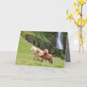 3馬走の滝馬グリーティングカード カード (黄色い花)