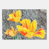 3黄色のチューリップの続編/ ラッピングペーパーシート (正面3)