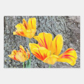 3黄色のチューリップの続編/ ラッピングペーパーシート (正面)