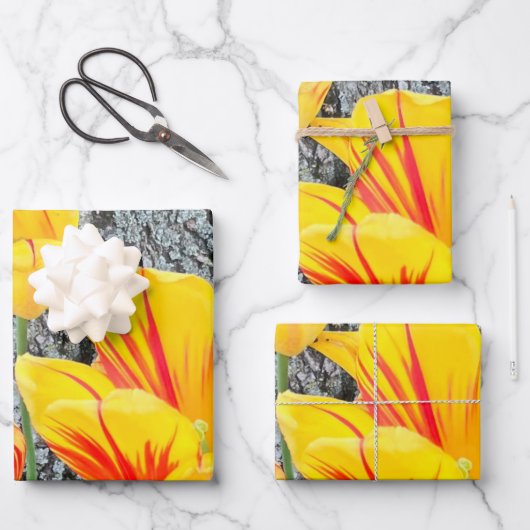 3黄色のチューリップの続編/ ラッピングペーパーシート (正面)