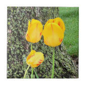 3黄色のチューリップ/ タイル (正面)